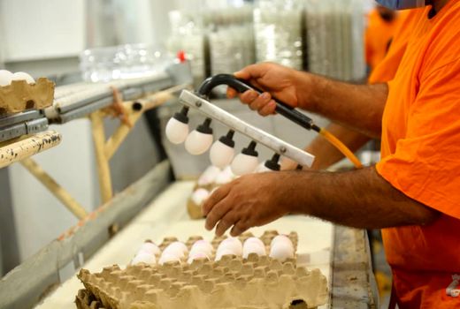 قانون برنامه هفتم نقطه پایان مقاومت‌ها است/ لزوم ساماندهی عرضه تخم مرغ

