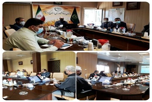 تعداد 3 فقره پرونده به مساحت تقریبی 1/1 هکتار بررسی و تعیین تکلیف شد.