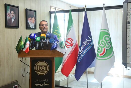 بیش از ۹۵ درصد گوشت قرمز کشور در داخل تامین می‌شود/ کاهش ۴۰ درصدی واردات گوشت در سال ۱۴۰۴
