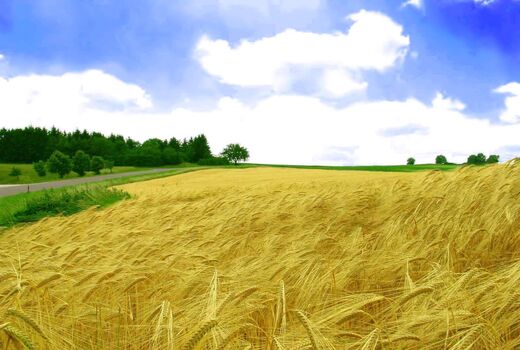 تجربه جنگ ١٢ روزه و ظرفیت‌های کشاورزی ایران برای عبور بحران 