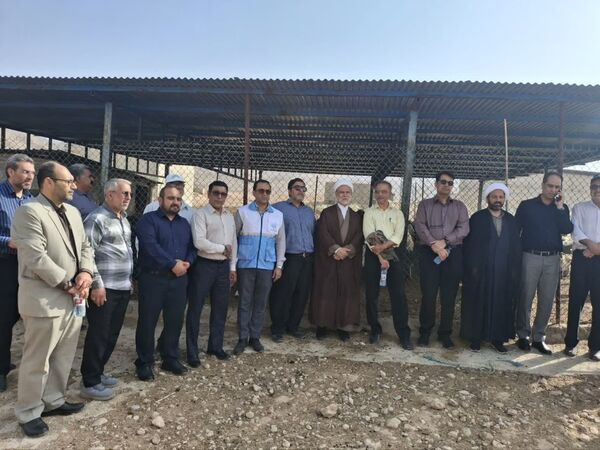 از واکسیناسیون دام و طیور تا تجلیل از دامدار نمونه