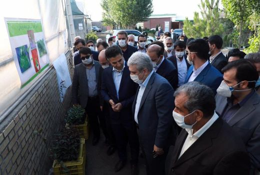 معاون رییس جمهور از یک شرکت دانش بنیان فعال تولید بذر و نهال در شهرستان آبیک بازدید کرد