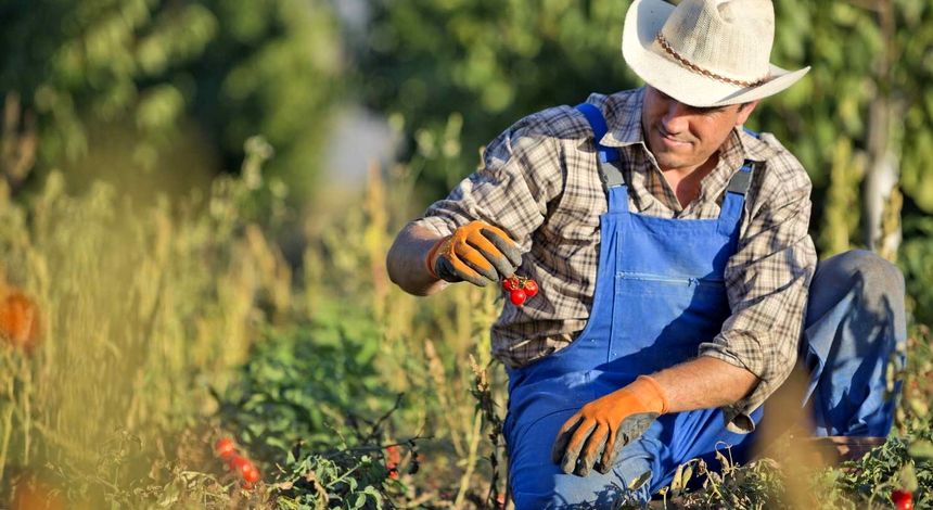  بحران اعتماد در اقتصاد کشاورزی آمریکا