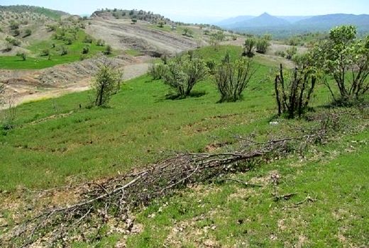 صدور اسناد تک برگ برای ۲۶ هزار هکتار از اراضی ملی استان تهران