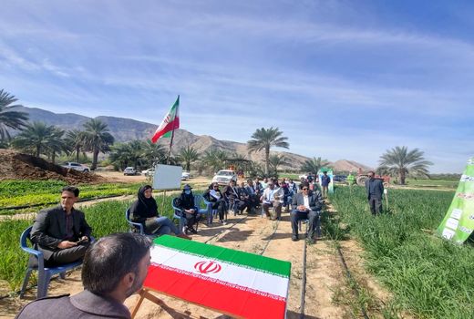 سومین روز از کاروان ترویج الگوی کشت ملی محصولات زراعی در خنج برگزار شد