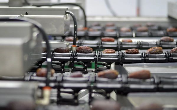 خرما فرصت طلایی برای توسعه صنایع غذایی و صادرات است