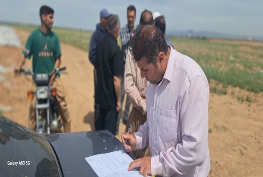 قلع‌وقمع مزارع گوجه‌فرنگی خارج از الگوی کشت در ضیاءآباد تاکستان 