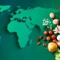 غذا «حق» است نه «امتیاز»  