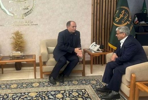 جهادکشاورزی در شرایط جنگ‌ بازار را مدیریت کرد/ لزوم توسعه دیپلماسی کشاورزی در منطقه