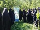 صدور ۳ گواهی نشان حد مجاز آلاینده های محصولات کشاورزی 