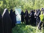صدور ۳ گواهی نشان حد مجاز آلاینده های محصولات کشاورزی 