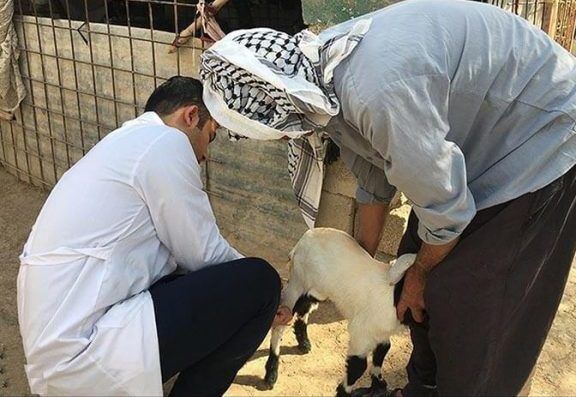 تربیت بهداشت‌یار دام عشایر با بهره‌گیری از ظرفیت جوامع محلی