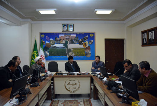 مشارکت اشخاص حقیقی و حقوقی در نهضت نهال‌کاری همگانی نهادینه شود