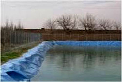 بازدید از استخرهای پرورش ماهی در شهرستان شهر بابک