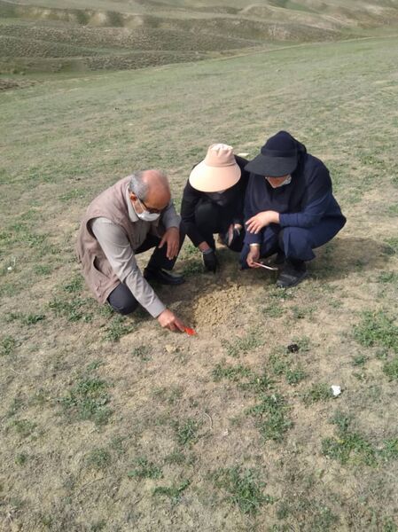 بازدید از مراتع خراسان شمالی برای ردیابی آفت ملخ