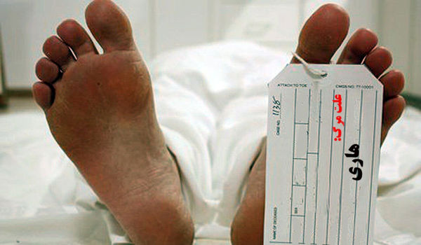 نیمی از قربانیان هاری کودکان هستند/افزایش بی‌رویه حیوانات شهری با غذادهی بی‌برنامه