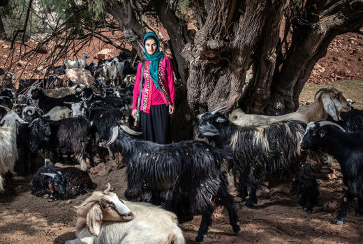 عشایر کوچ نشین ایل بختیاری