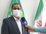سالانه ٨٠ هزار تن مرغ در لرستان تولید می شود