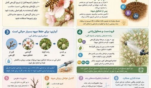 راهکارهای افزایش عملکرد محصول بادام 
