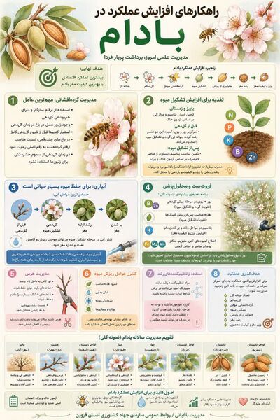 راهکارهای افزایش عملکرد محصول بادام 
