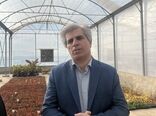 توسعه نهال‌های گواهی‌شده؛ شاه‌کلید افزایش درآمد و ارزآوری برای باغداران