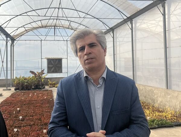 توسعه نهال‌های گواهی‌شده؛ شاه‌کلید افزایش درآمد و ارزآوری برای باغداران