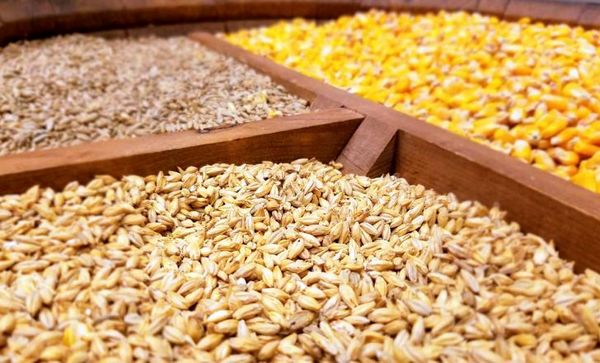 حواشی اجازه کاهش قیمت نهاده‌ها را نمی‌دهد