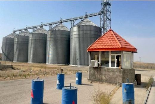 تولید 18 هزار تن دانه غلات در جویم