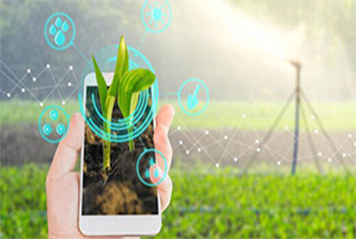 کاربرد اپلیکیشن های تلفن همراه در کشاورزی 