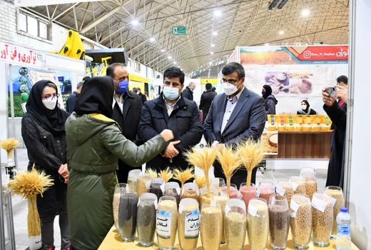 زون کشاورزی نمایشگاه ربع رشیدی ظرفیت خوبی برای معرفی ایده‌ها و طرح‌های جدید بخش کشاورزی است