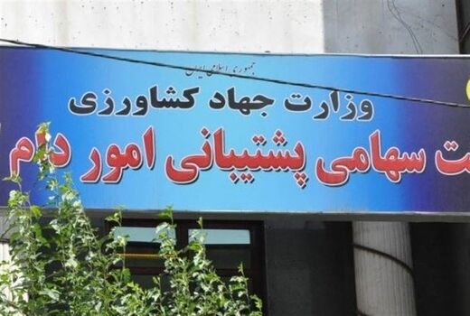 واکنش شرکت پشتیبانی امور دام به خبر عدم خرید ذرت از مناقصه بین‌المللی