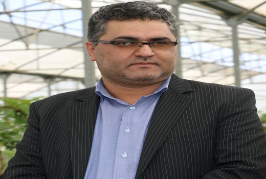 پرداخت 4300 میلیارد تومان وجه گندم به کشاورزان کردستانی