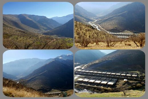 فاز دوم پرورش بزرگترین مجتمع ماهیان سردابی خاورمیانه احداث می‌شود