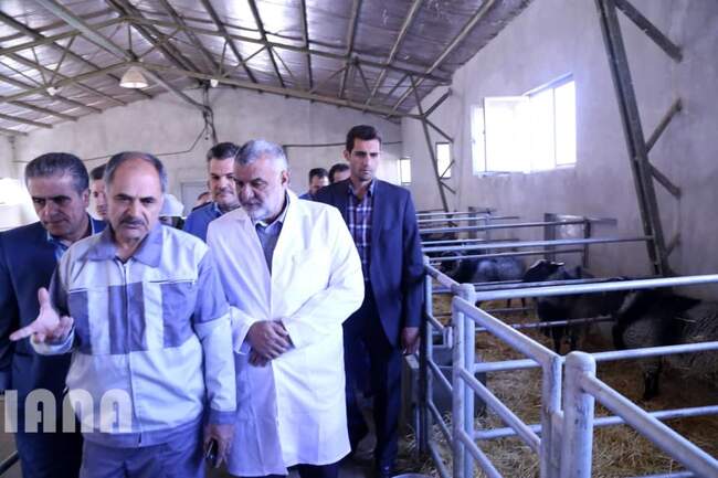 افتتاح مرکز تولید مواد ژنی دام سبک توسط دکتر جهانگیری در فیروزکوه
