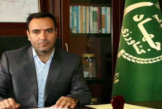 کشت چغندر قند در شهرستان بویین زهرا آغاز شد