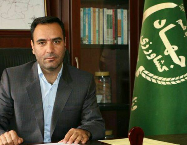 کشت چغندر قند در شهرستان بویین زهرا آغاز شد