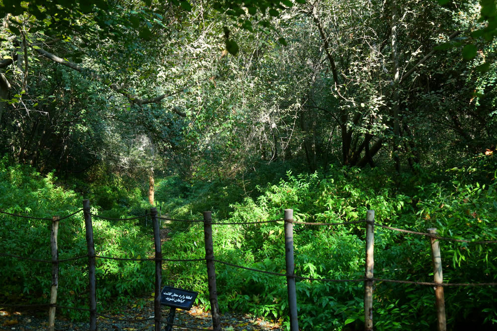 بازدید تور رسانه ای از باغ ملی گیاه شناسی ایران                   