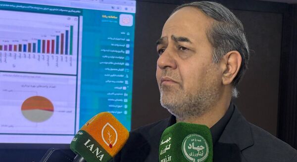 دولت به‌دنبال کمترین افزایش قیمت گندم صنف و صنعت