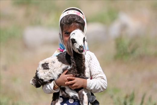  عشایر تا قبل از آغاز فصل بارش باید از چهارمحال و بختیاری خارج شوند