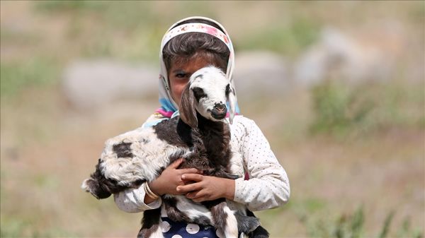  عشایر تا قبل از آغاز فصل بارش باید از چهارمحال و بختیاری خارج شوند