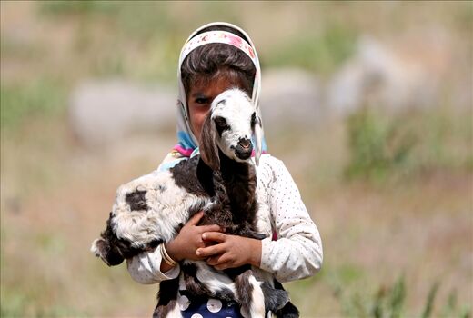  عشایر تا قبل از آغاز فصل بارش باید از چهارمحال و بختیاری خارج شوند