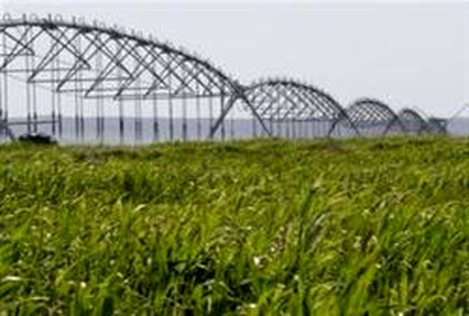 شروع به کار ایستاگاه‌های پمپاژ شماره 9 و 10 پروژه آبیاری دشت زرنه شهرستان ایوان