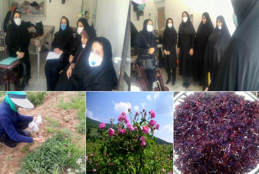 ضرورت ارتقاء توانمندی تعاونی زنان روستایی در اجرای طرح ها در سال جهش تولید