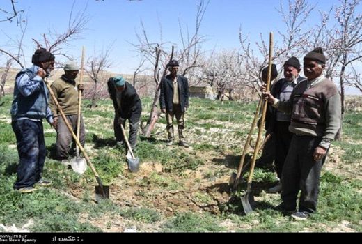 پوشش بیمه اجتماعی زنان خراسان شمالی از کشور بالاتر است