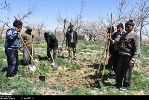 پوشش بیمه اجتماعی زنان خراسان شمالی از کشور بالاتر است