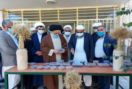 تولید ٢٠ هزار اصله نهال موز در ایستگاه تحقیقات کشاورزی بلوچستان