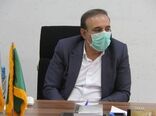 سالانه بیش از ۷۰۰ هزار تن محصولات سبزی و صیفی در لرستان تولید می شود