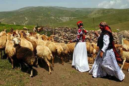 افزایش سرمایه اتحادیه دامداران متحرک تا پایان سال 1400 به 32 میلیارد تومان