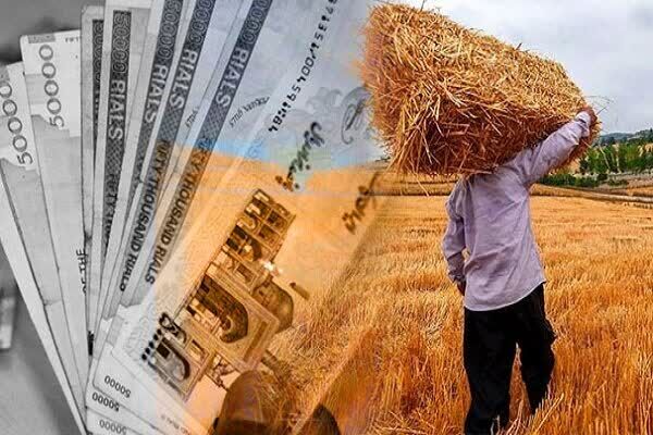   واریز یارانه نقدی کودهای فسفاته و پتاسه به حساب کشاورزان آذربایجان شرقی