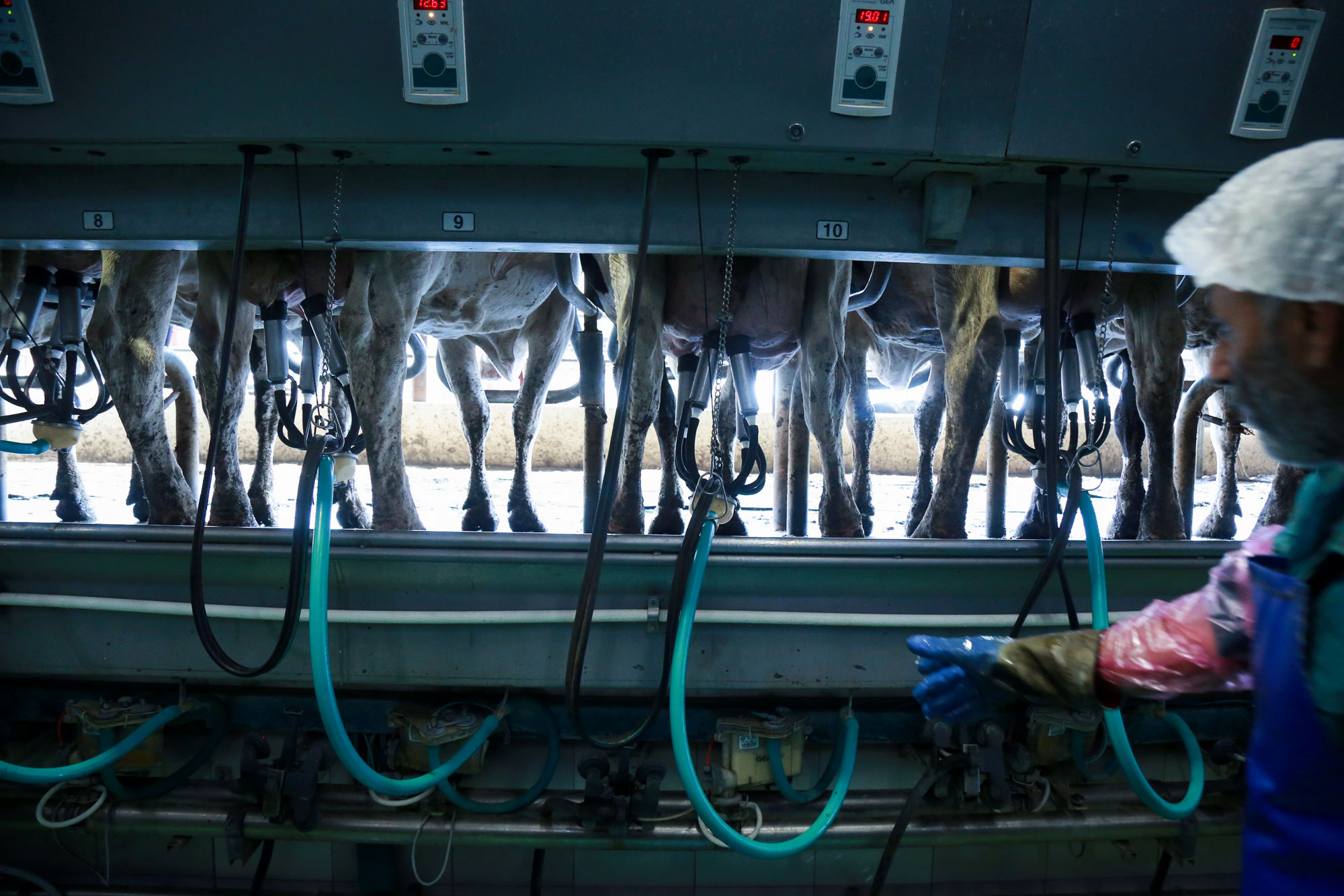  بازدید وزیر امنیت غذایی پاکستان از شرکت شمه شیر 